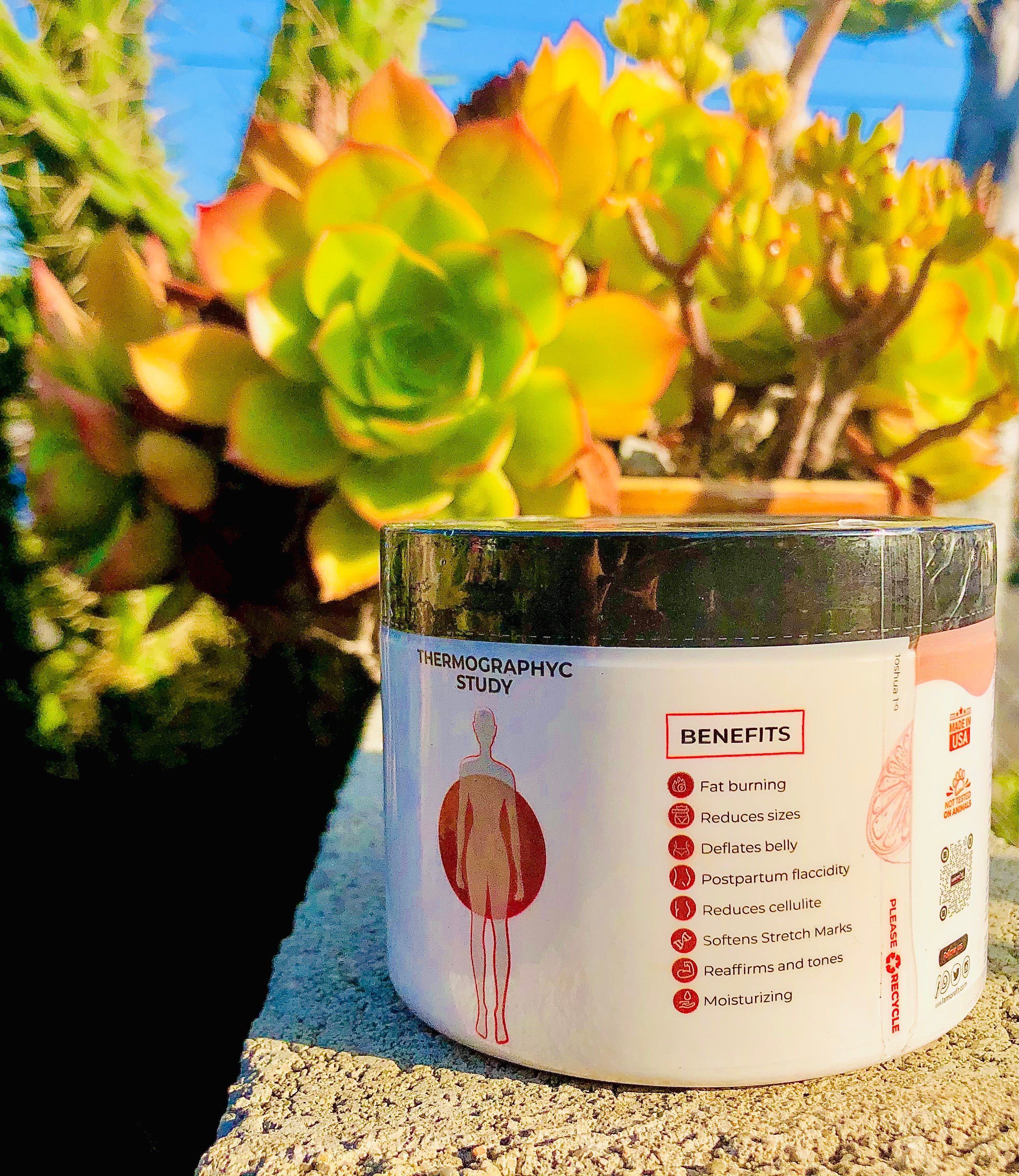 WORK HARD SWEAT HARD GRAPEFRUIT EXTRACT FAT BURNER FIRMED CREAM 8 oz