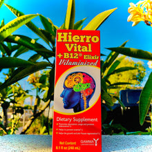 Load image into Gallery viewer, Hierro Vital + B12 Elixir Vitaminized
