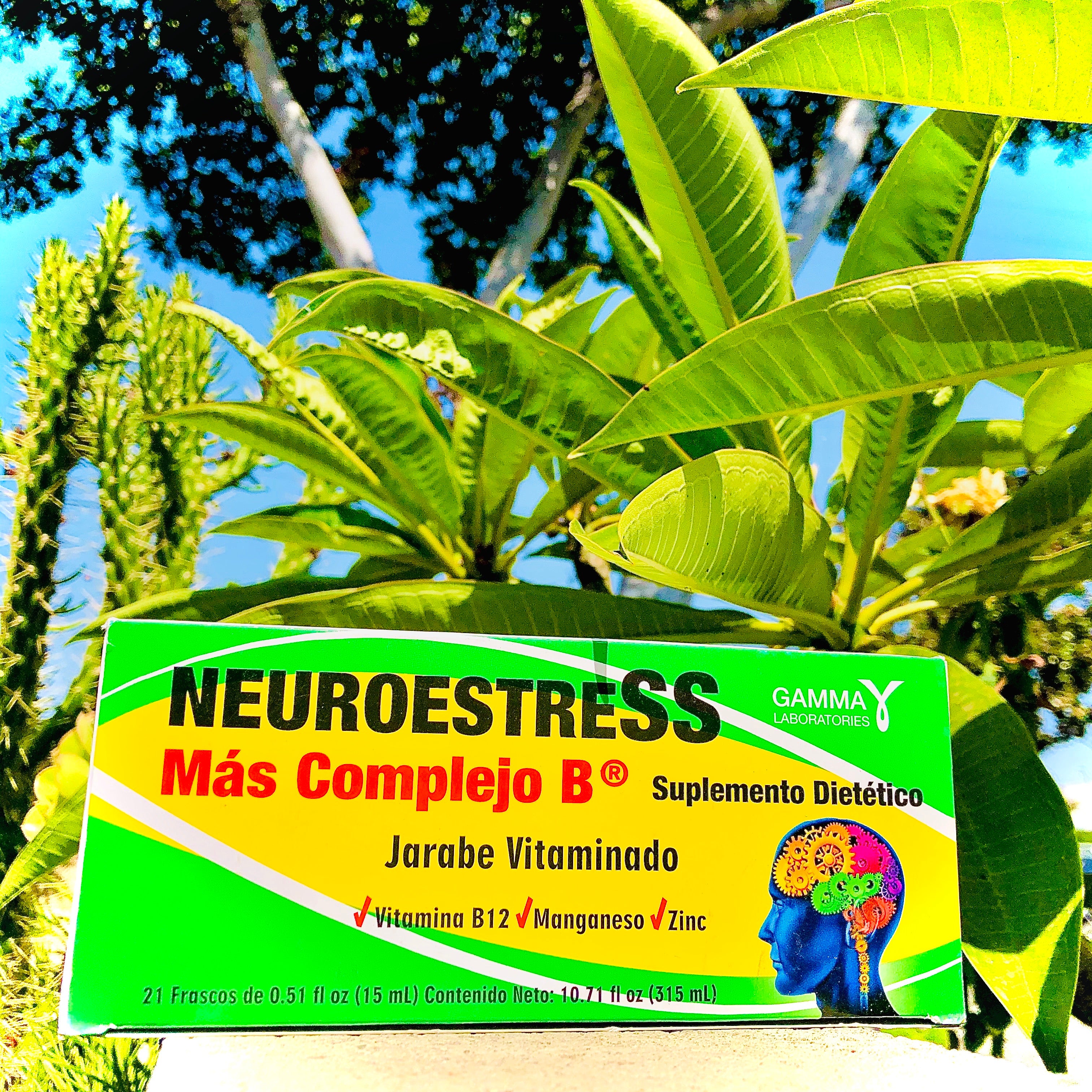 NEUROESTRESS Más Complejo B12