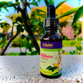 Moringa Oil
