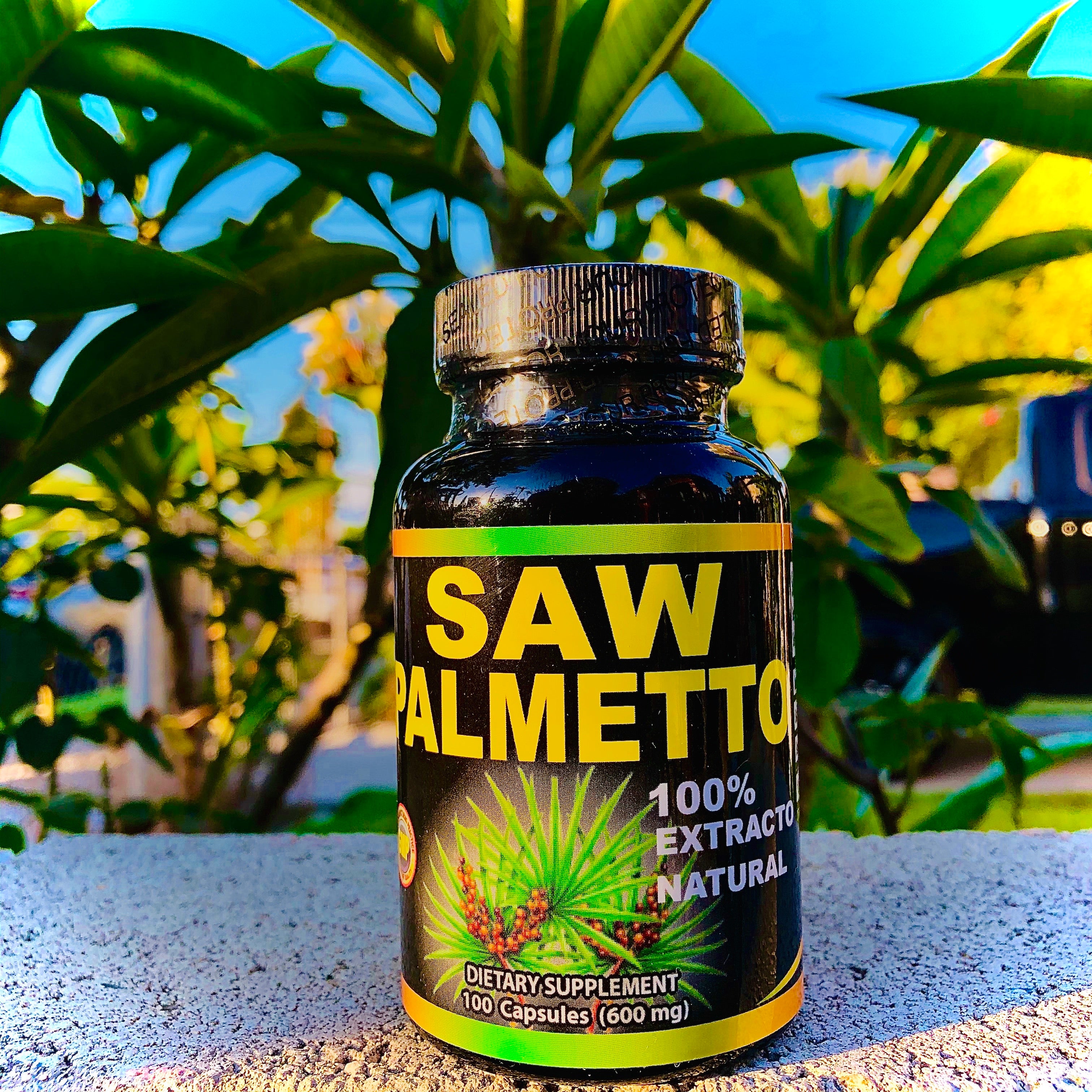 Saw Palmetto 100 Capsules (600mg)