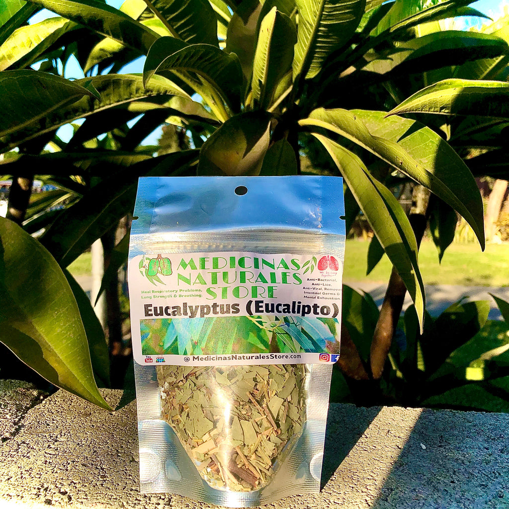 Eucalyptus (Eucalipto) Tea - Pure Dried Leaf - 4oz, 8oz, 16oz, 5lb, 10lb