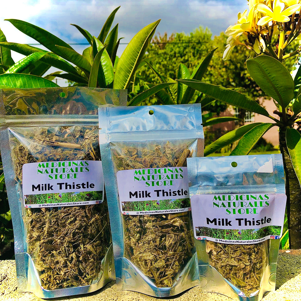 Milk Thistle Tea (Cardo Mariano TE) - High-Potency Botanical Supply