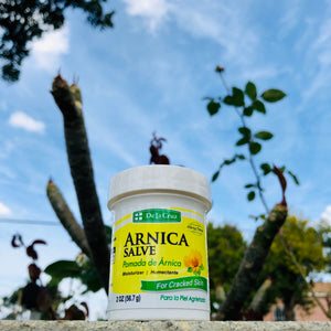 Arnica Salve De La Cruz