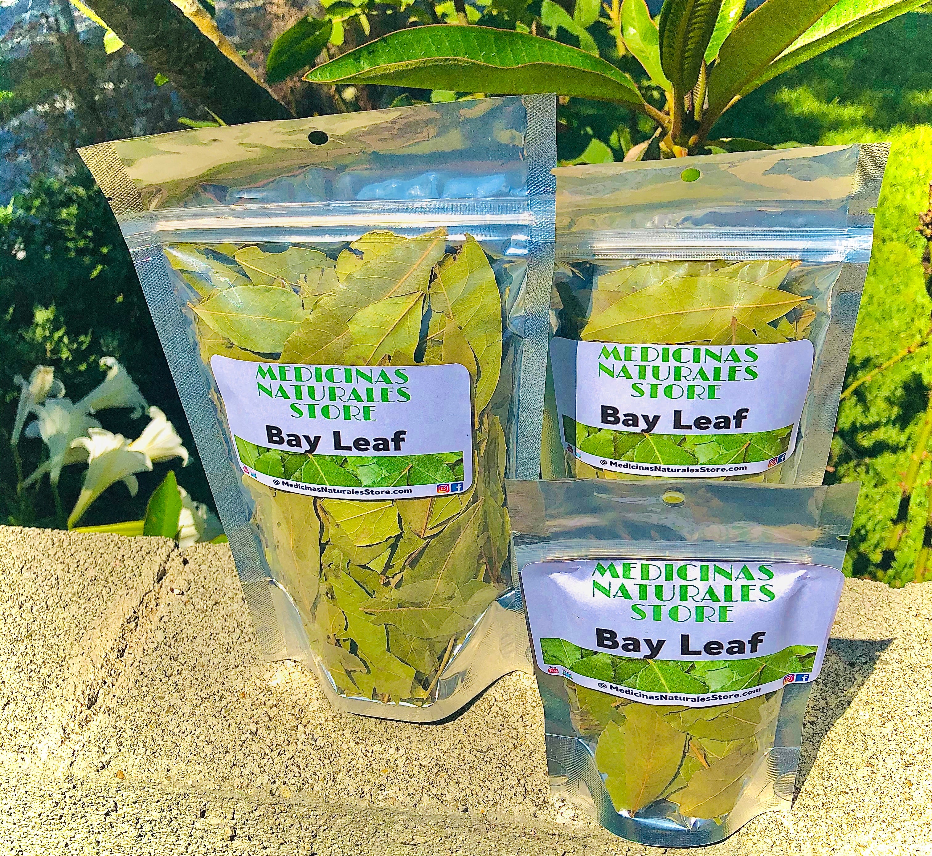 Bay leaves 🍃
