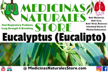 Load image into Gallery viewer, Eucalyptus (Eucalipto)
