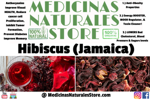 Hibiscus 🌺 Jamaica Flowers