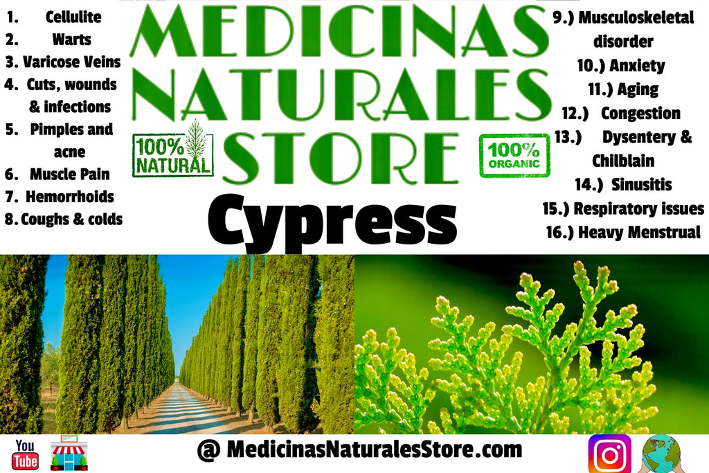 Cypress