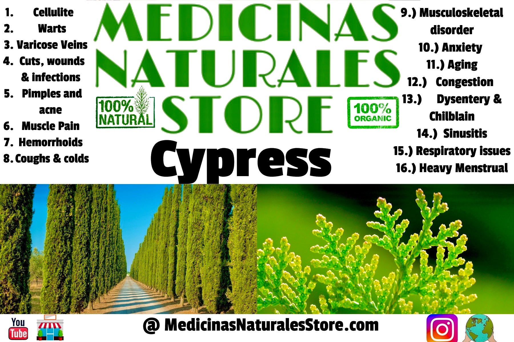 Cypress