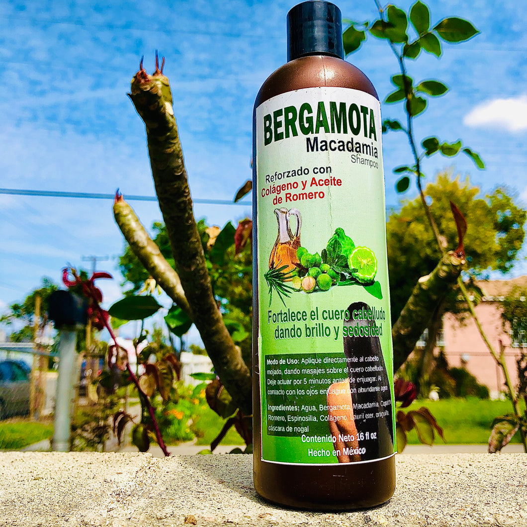 Bergamota Macadamia Shampoo