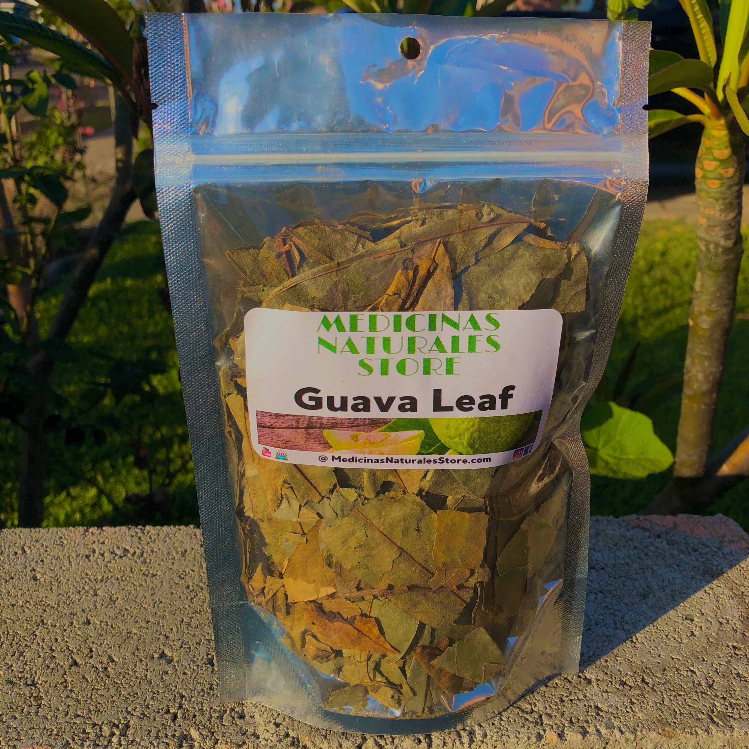 Guava Leaf 🍃 for ☕️