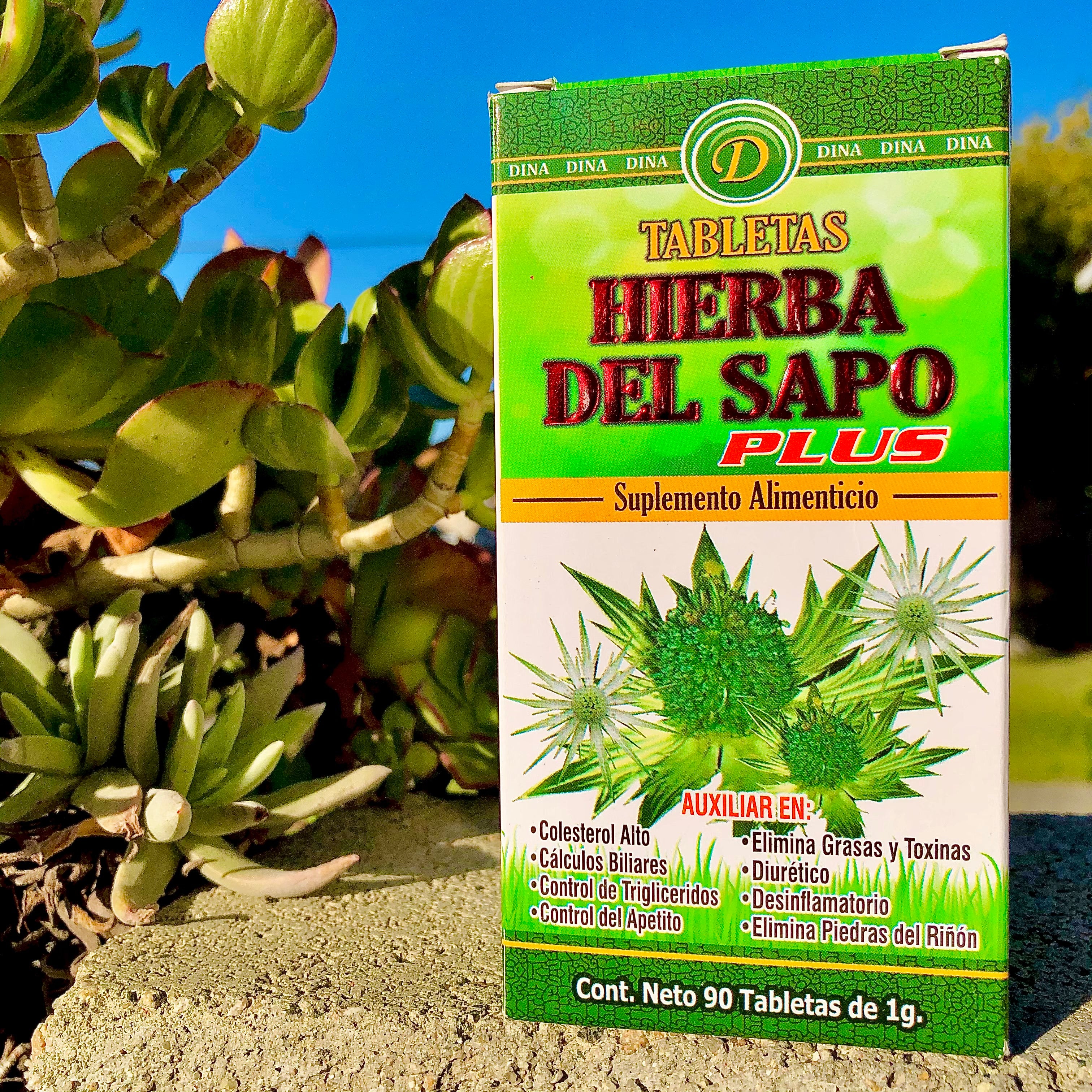 Hierba Del Sapo PLUS 90 Tabletas
