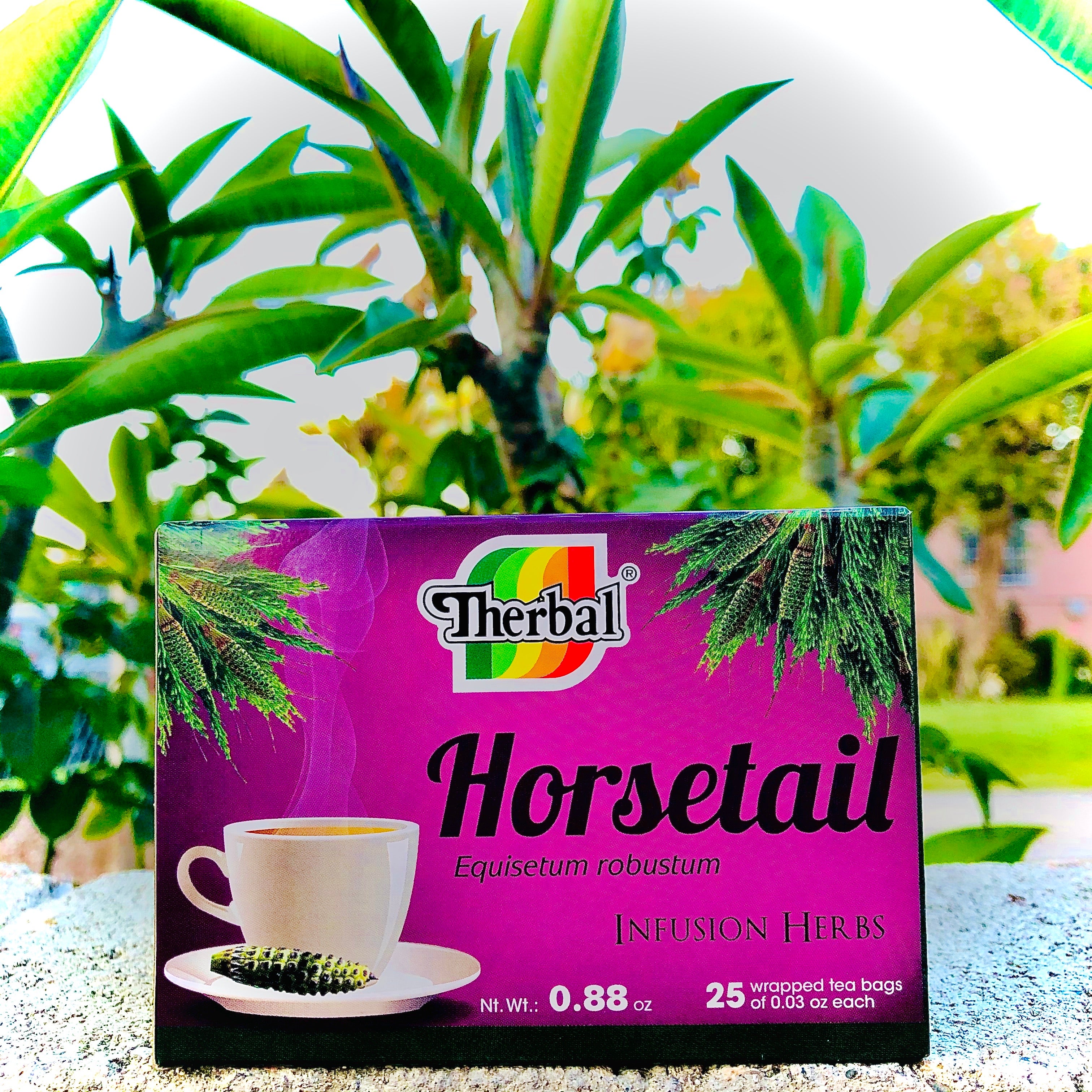 Therbal Cola de Caballo (Horsetail) Tea – 100% Natural