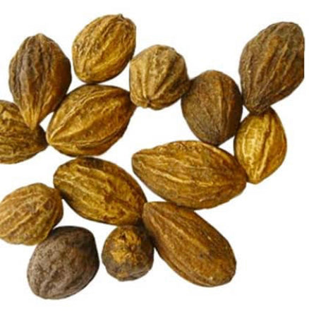 Haritaki Vegan Capsules