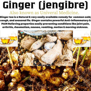 100% Natural NON-GMO Ginger Capsules