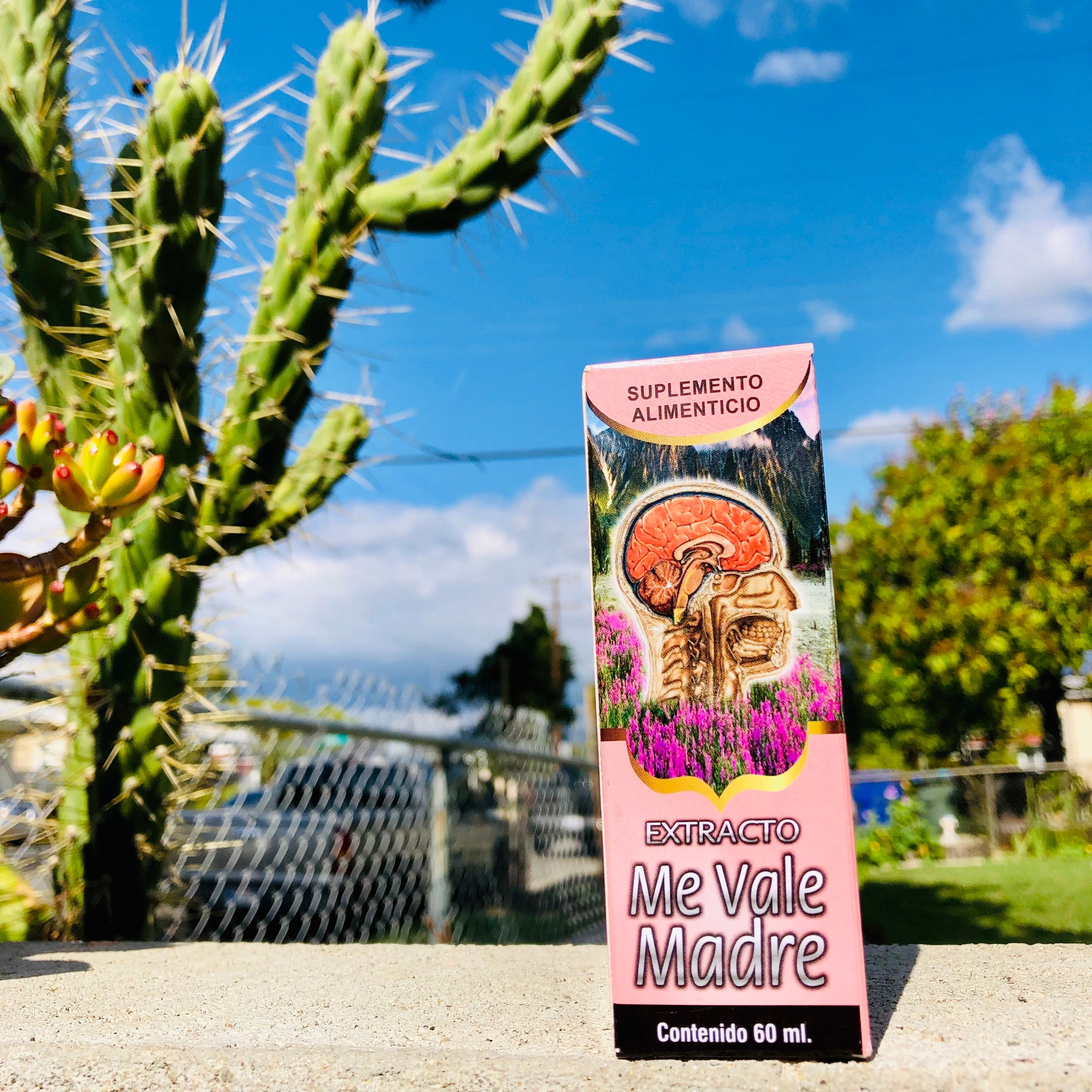 Me Vale Madre Extrato