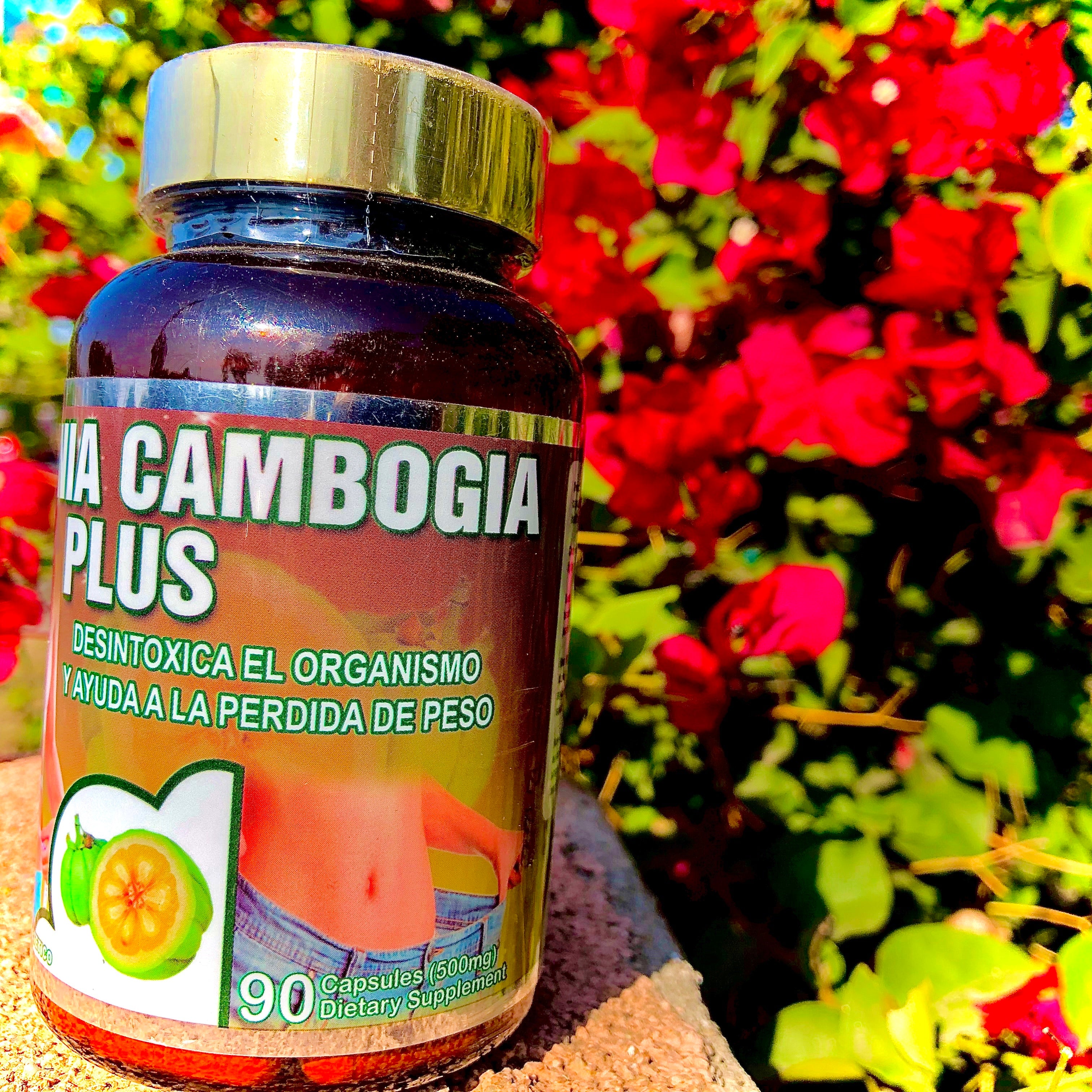 Garcinia Cambogia - Premium Botanical Formula (90 Capsulas)
