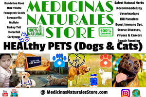 HEALthy PETS (Dogs & Cats)