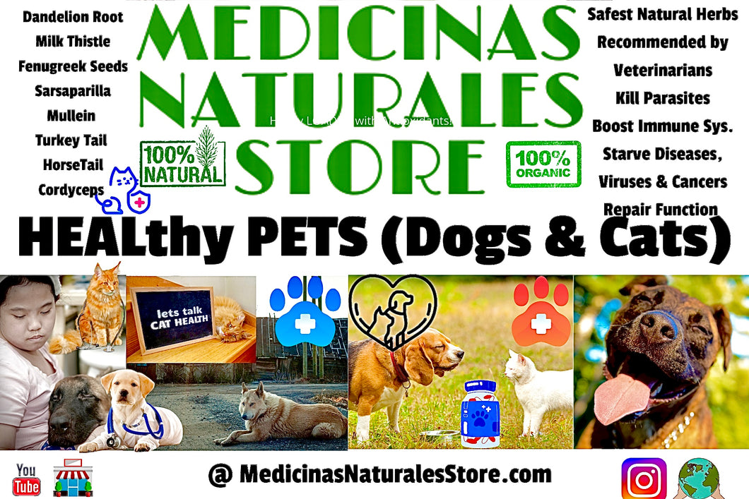 HEALthy PETS (Dogs & Cats)