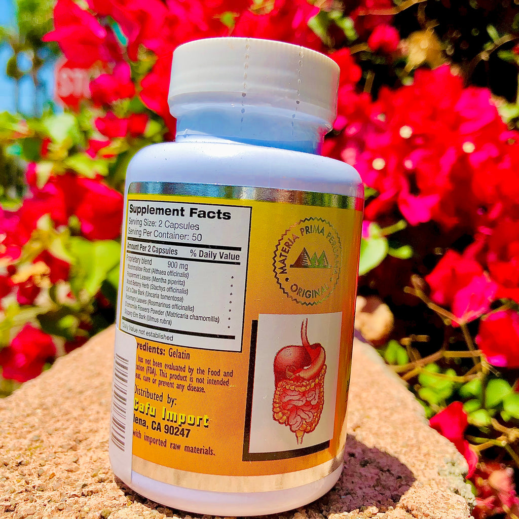 Gastrizan Sistema Digestivo 100 Capsulas 450 mg