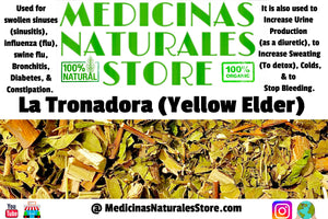 La Tronadora (Yellow Elder)