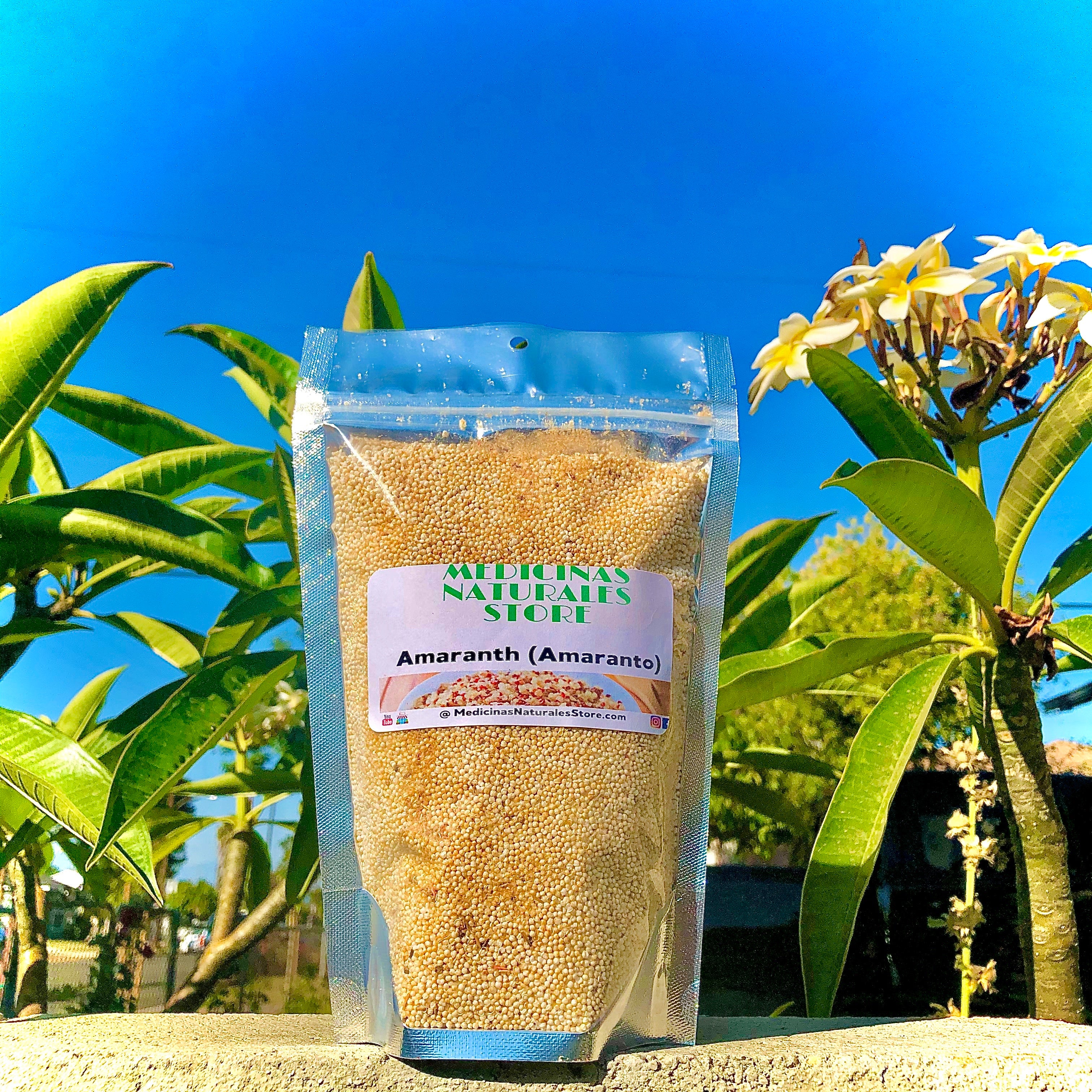 Roasted Amaranth (Amaranto) - Premium Ancient Grain & Plant Protein