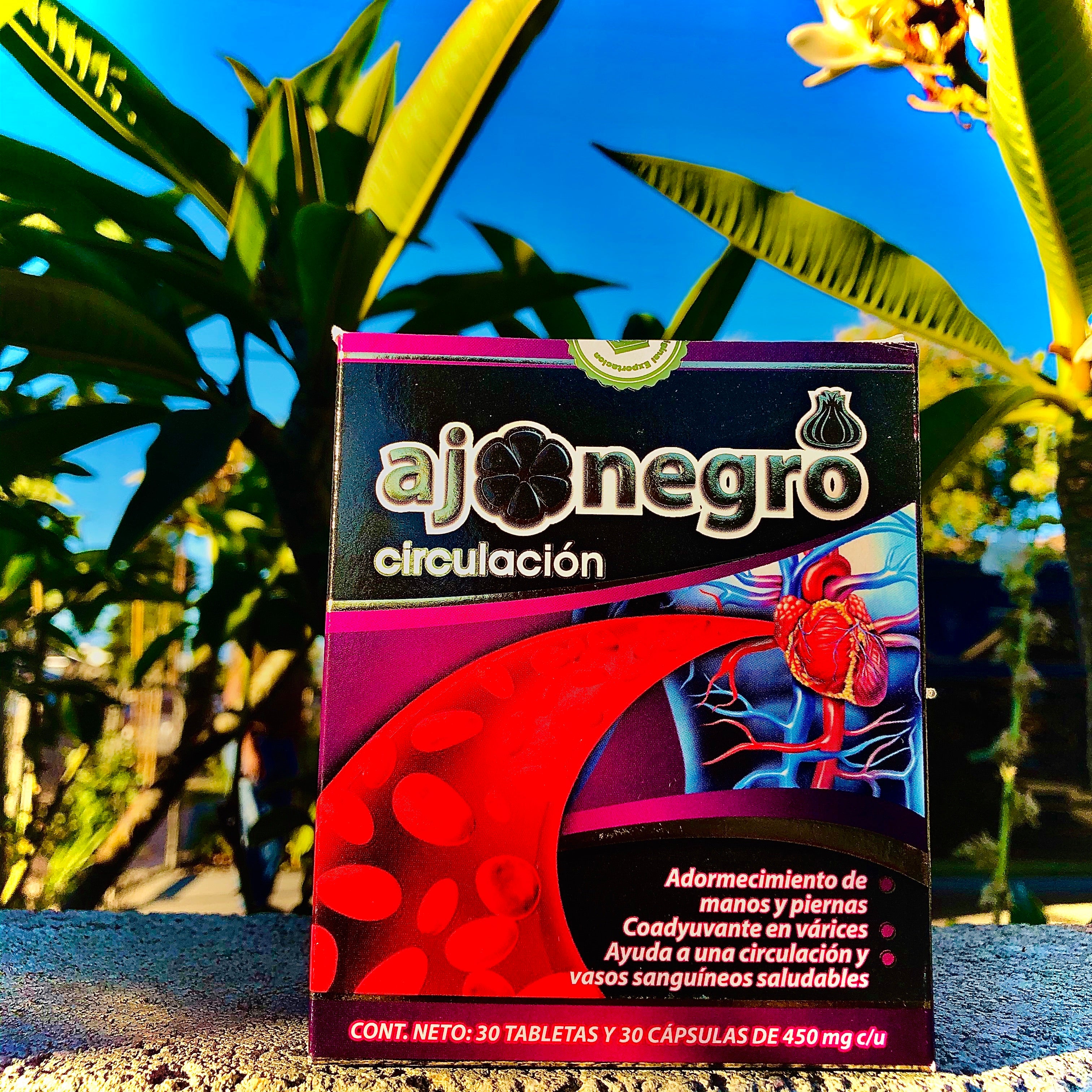 Ajo Negro Circulación