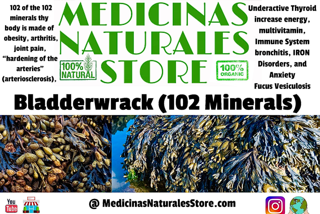 Bladderwrack Dried 3 oz