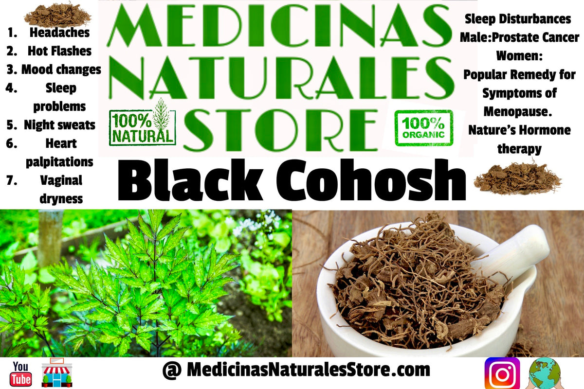 Organic Black Cohosh TEA ☕️ – Medicinas Naturales Store