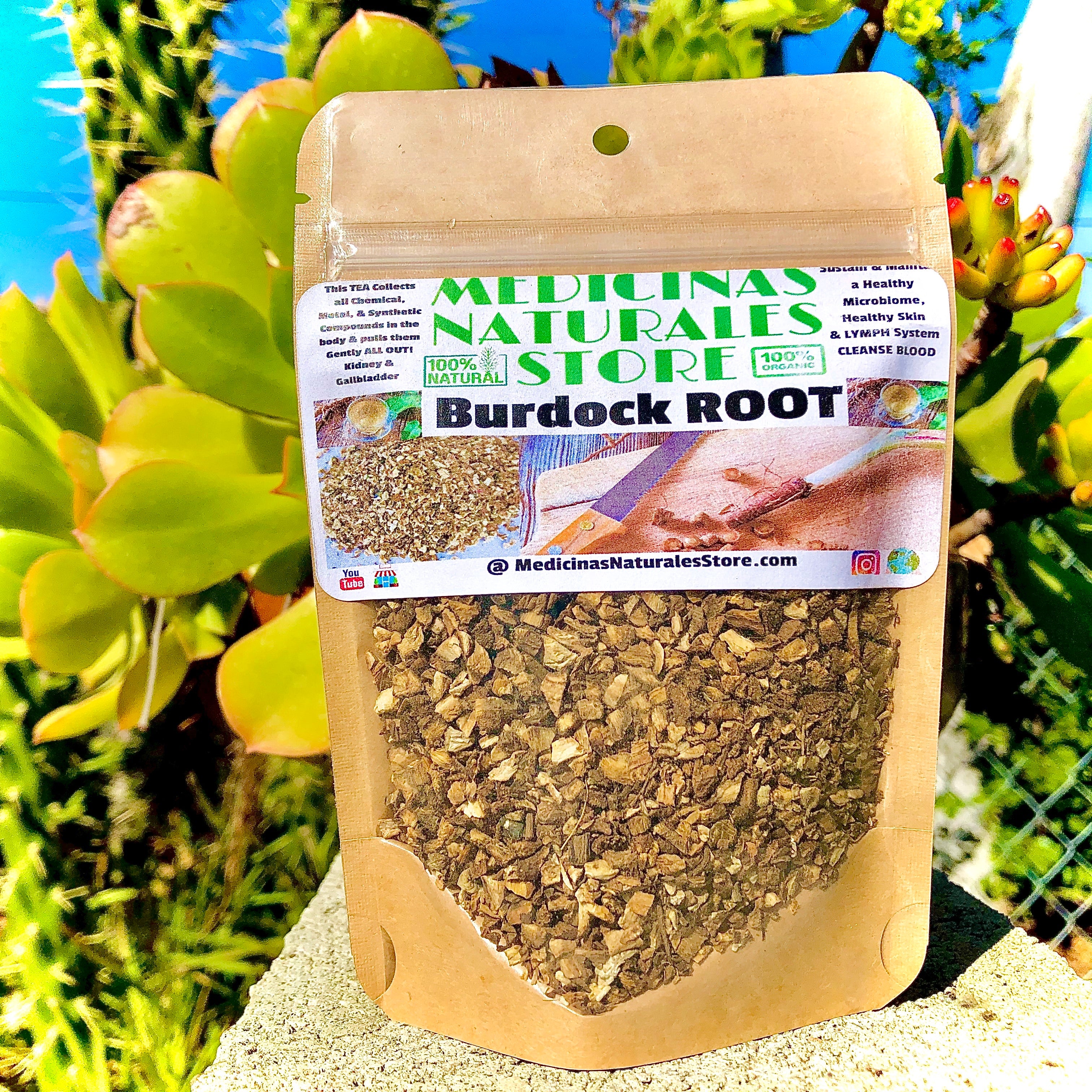 Burdock Root TEA ☕️